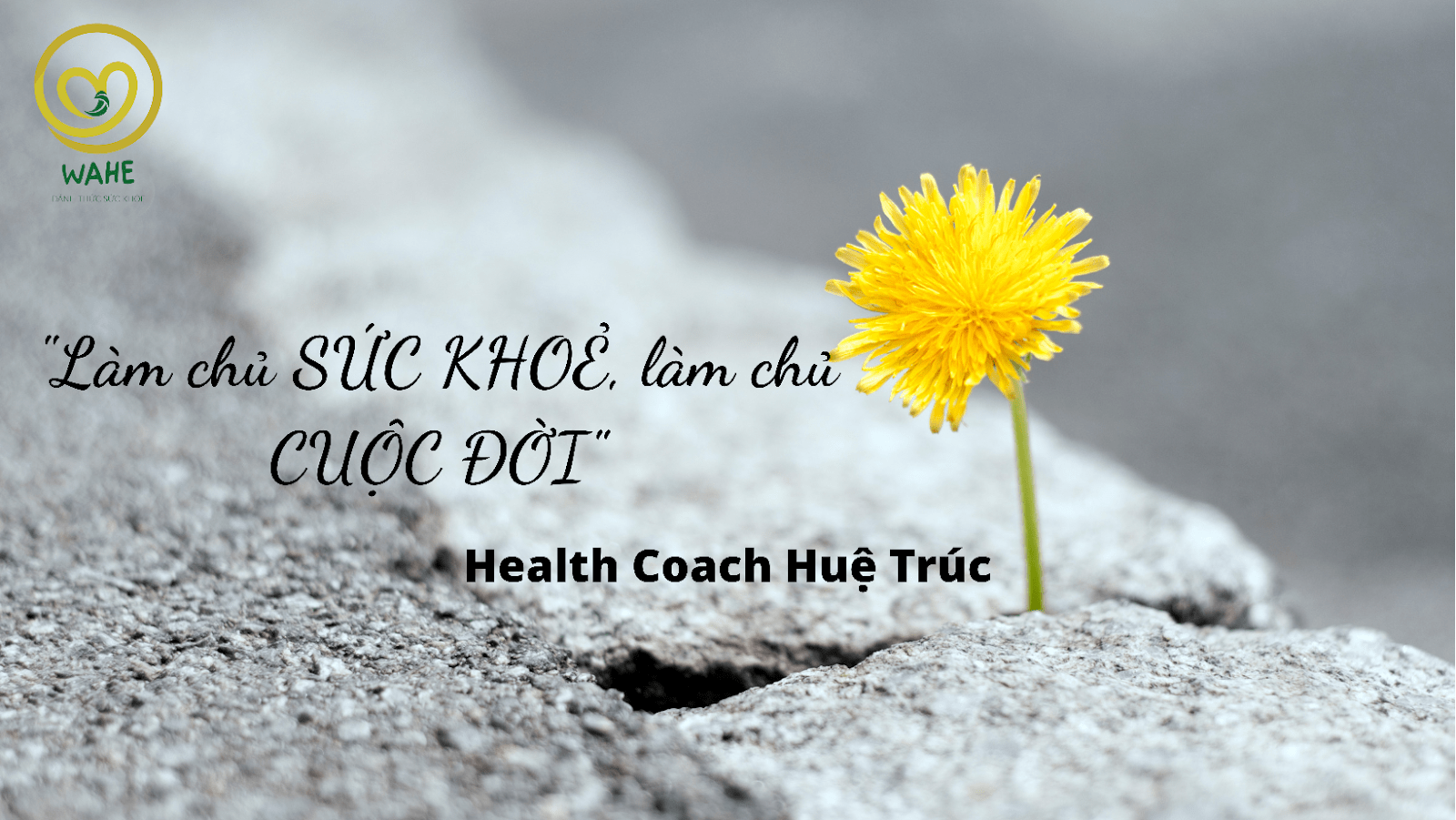 YẾU TỐ THỨ 5 CỦA CƠ THỂ YẾU TỐ THỨ 5 CỦA CƠ THỂ