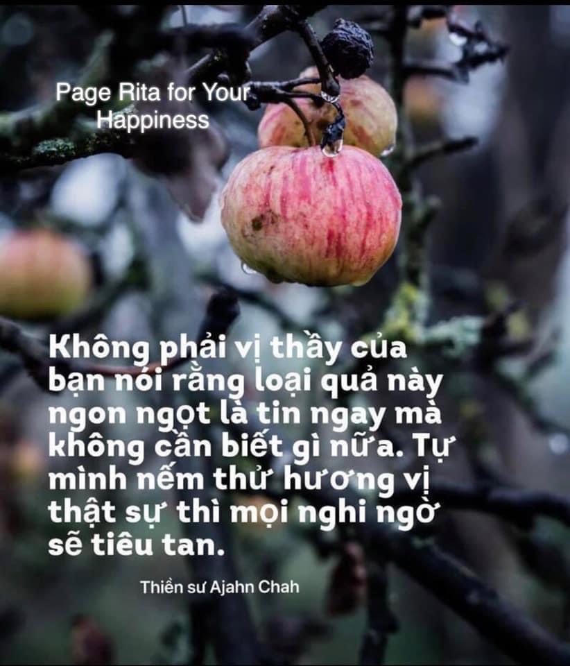 Ngày 37 – “TÔI YÊU HỆ TIÊU HOÁ CỦA TÔI” Ngày 37 – “TÔI YÊU HỆ TIÊU HOÁ CỦA TÔI”