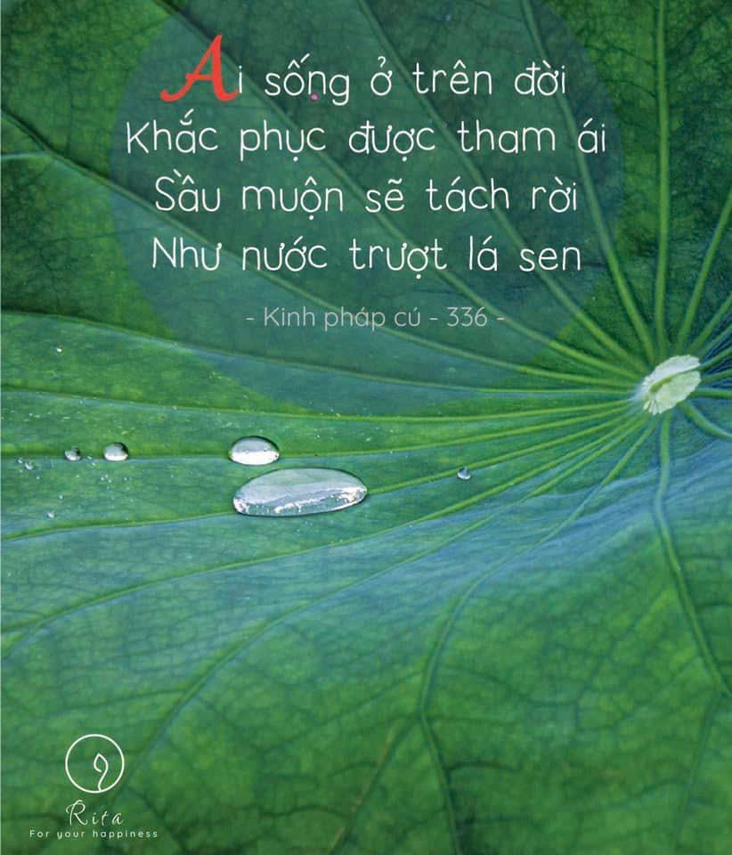Ngày 48 – “TÔI YÊU TẾ BÀO MỠ CỦA MÌNH”