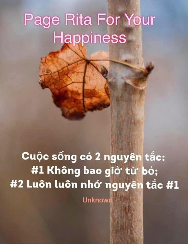 Ngày #51 – “TÔI YÊU TẾ BÀO THỤ THỂ ÁNH SÁNG CỦA MÌNH” Ngày #51 – “TÔI YÊU TẾ BÀO THỤ THỂ ÁNH SÁNG CỦA MÌNH”