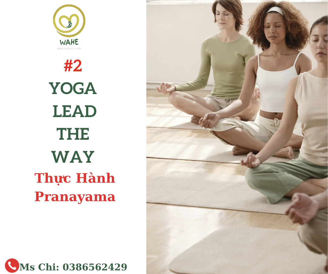 #2 Yoga lead the way – Thực hành “Pranayama”