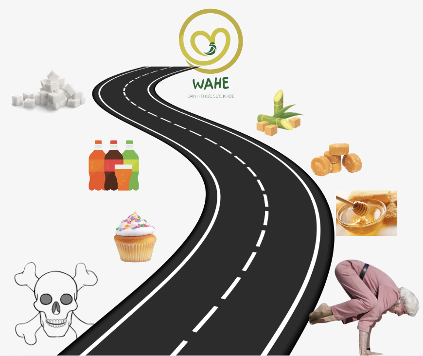 ĐƯỜNG đi NHANH, ĐƯỜNG đi CHẬM