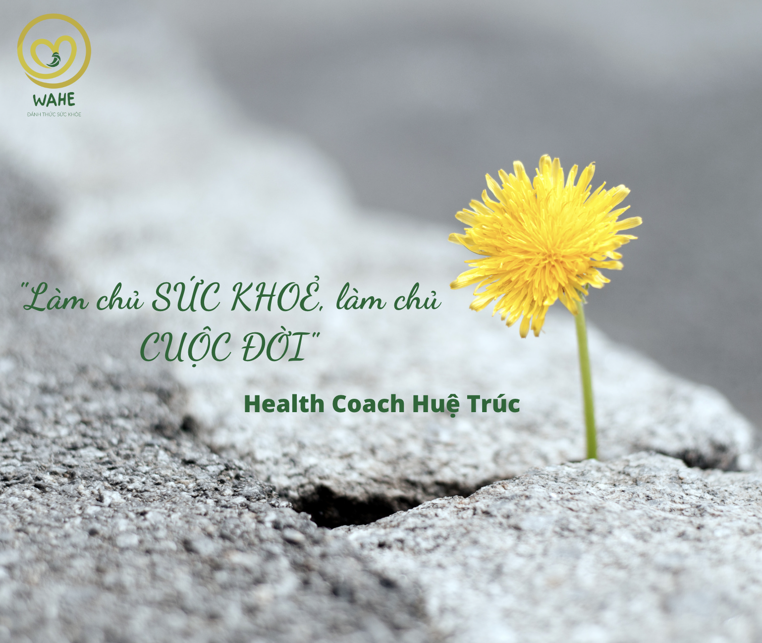 #6 Yoga lead the way – Yoga không chữa được bệnh