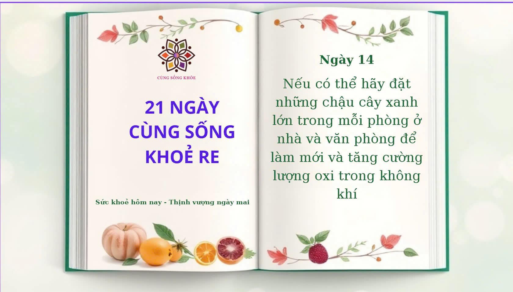 Ngày 14: Hành Trình 21 Ngày Cùng Sống Khoẻ Re
