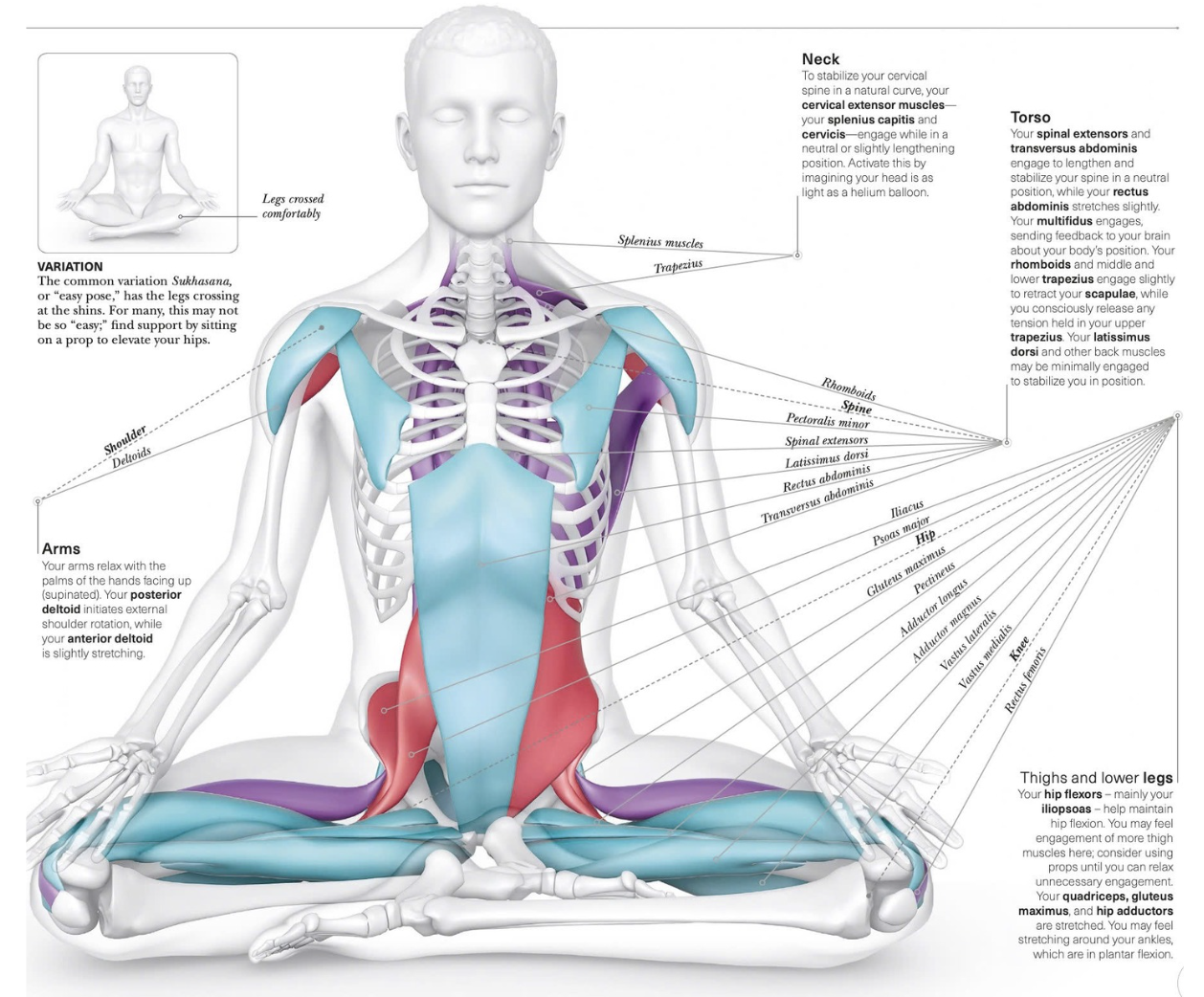 #7 Yoga lead the way – THỞ tự nhiên #7 Yoga lead the way – THỞ tự nhiên