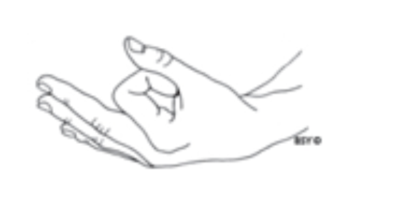 #8 Yoga lead the way – Chin Mudra